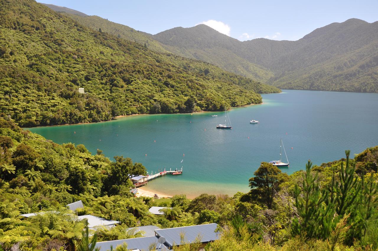 Punga Cove Resort Endeavour Inlet Ngoại thất bức ảnh