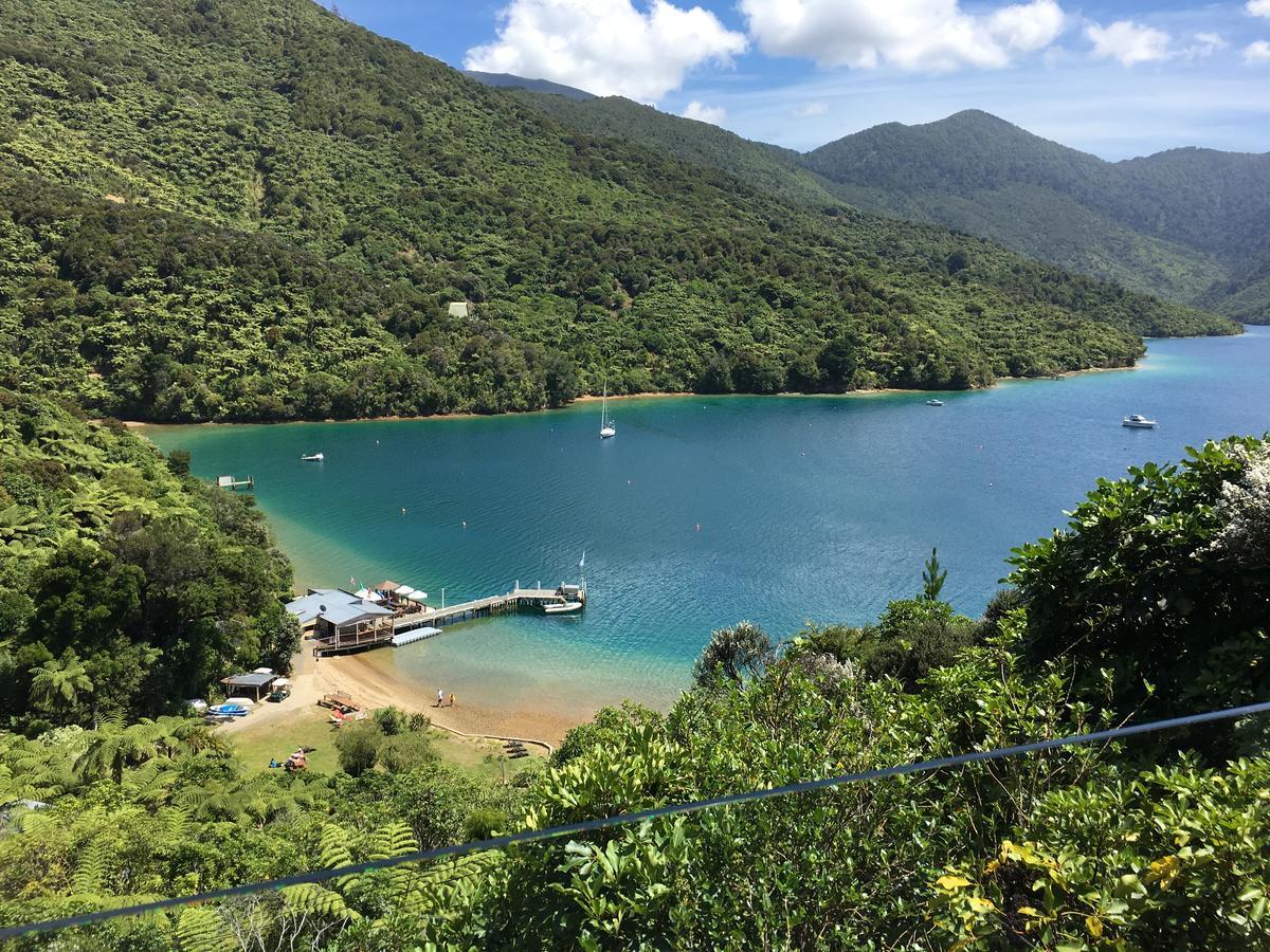 Punga Cove Resort Endeavour Inlet Ngoại thất bức ảnh