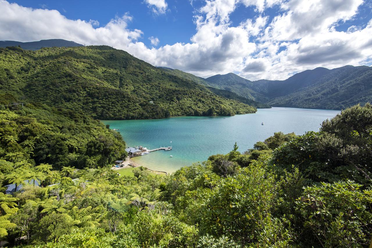 Punga Cove Resort Endeavour Inlet Ngoại thất bức ảnh