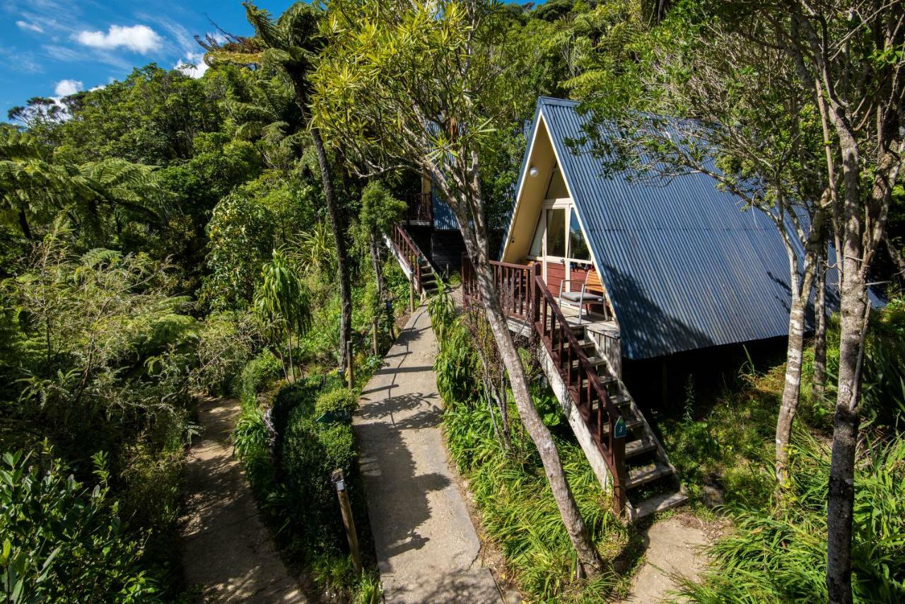 Punga Cove Resort Endeavour Inlet Ngoại thất bức ảnh